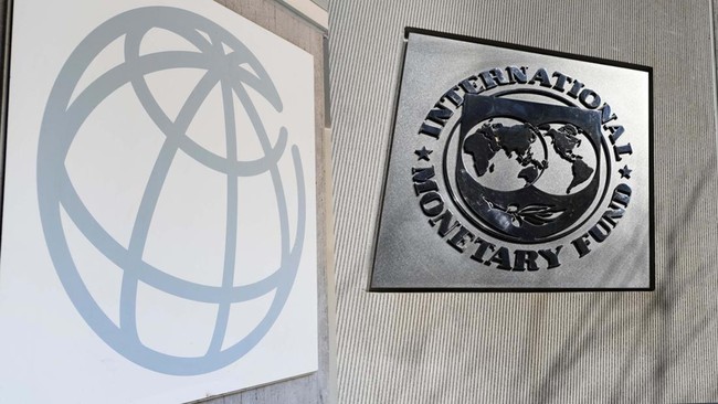 IMF Forecasts Economic Decline for G20 Countries, Is Indonesia Safe?