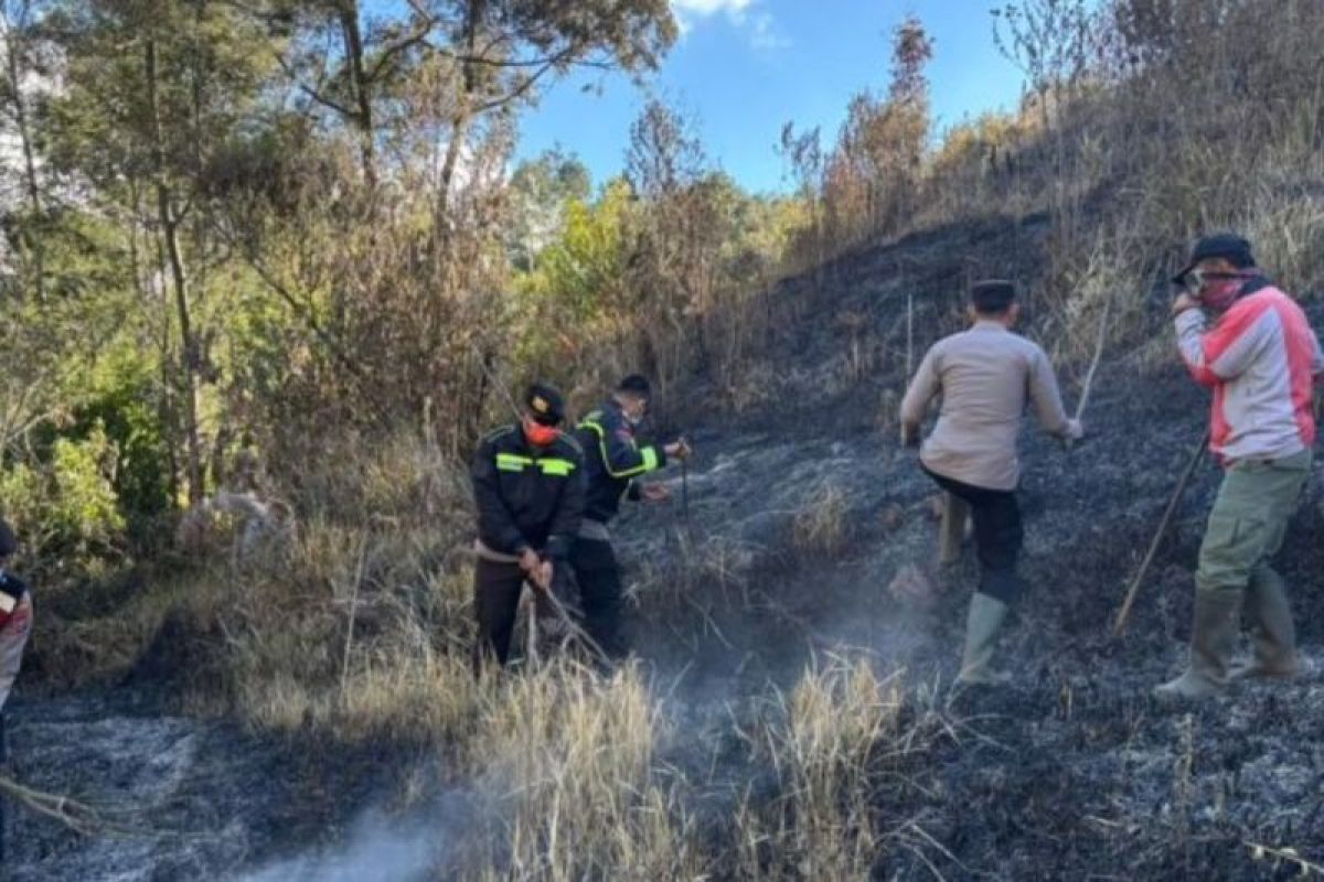 Police battle wildfire on Mount Semeru in East Java