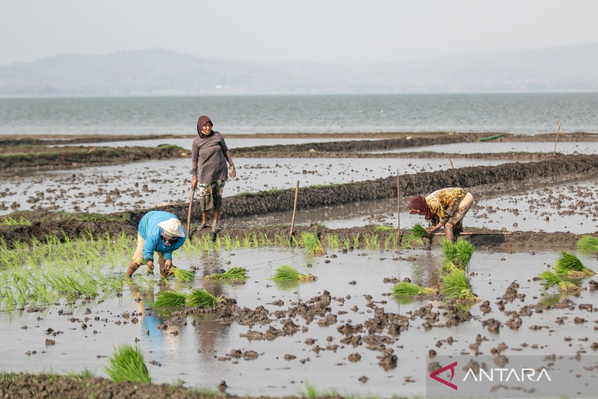 Data governance deemed important for sustainable food security