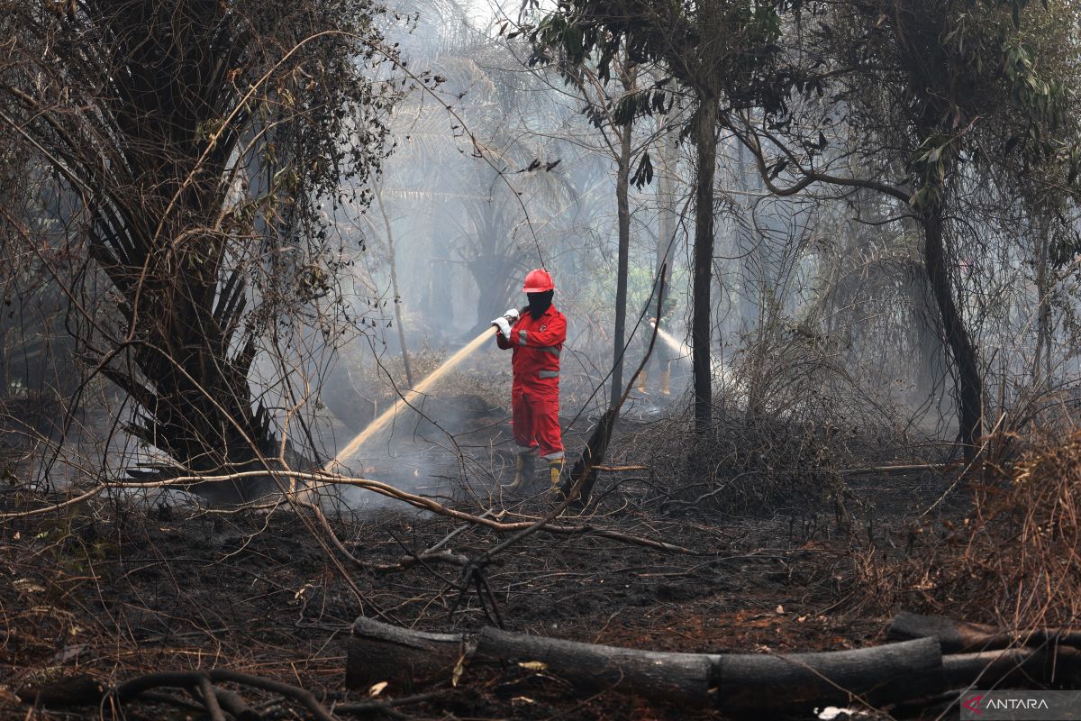 Japan deploys ship, helicopters to help tackle forest fires in Indonesia