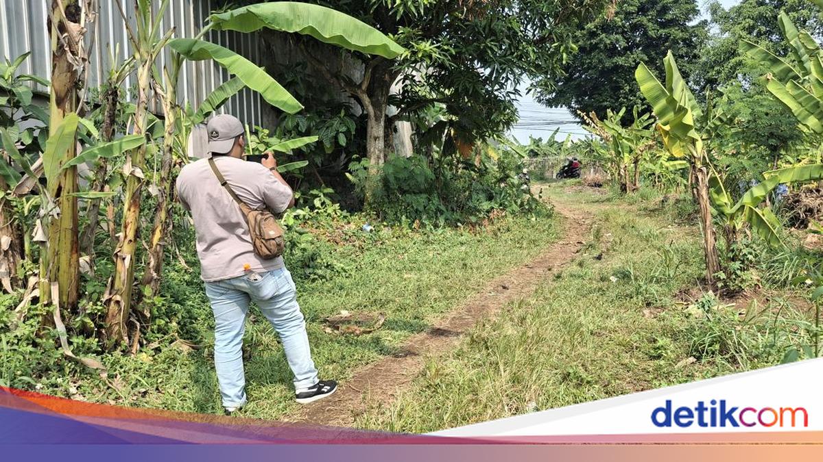 Man Found Dead in Citeureup Bogor Plantation, Sharp Weapon Wounds on Back