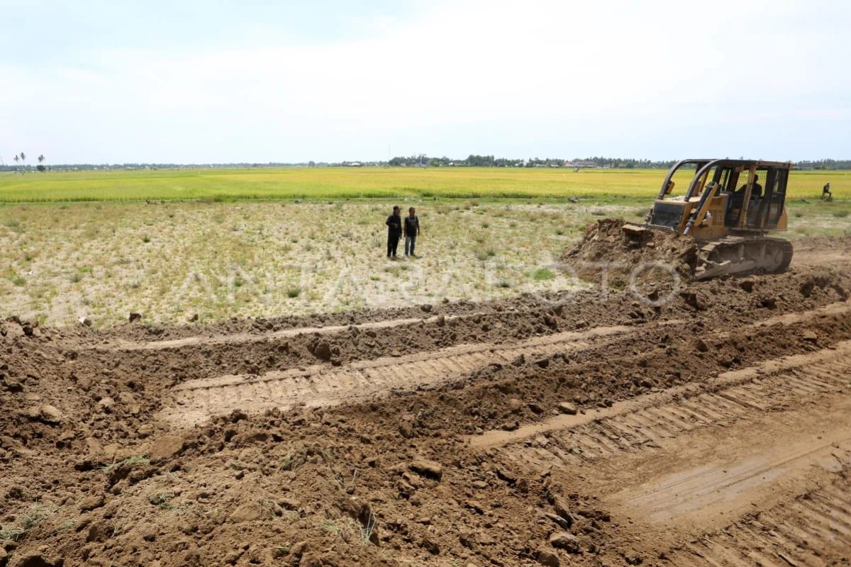 Distanbun optimistic 40,852 hectares of damaged rice fields in Aceh will recover this year