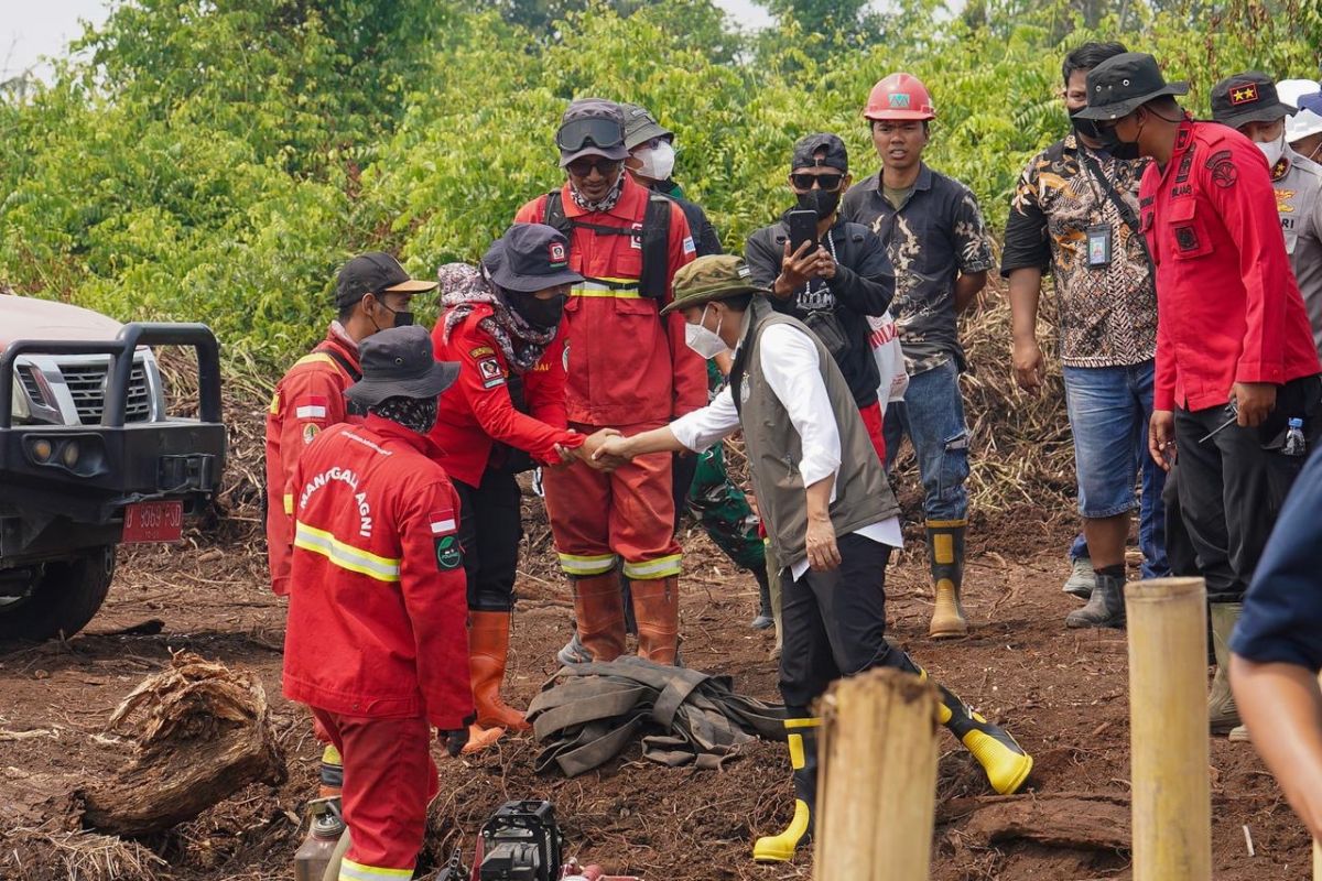 Forestry Minister: Forest fire handling covers firefighting to social aid