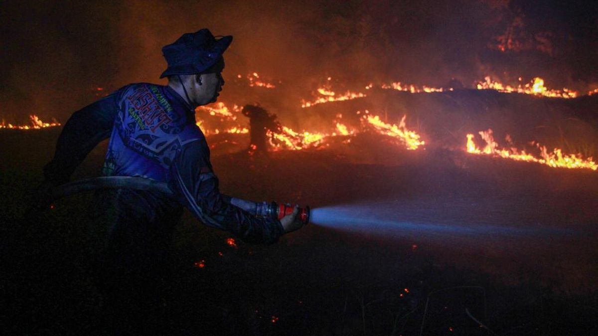 BNPB: Forest and Land Fire Hotspots in Central Kalimantan Rise to 4,359 Points