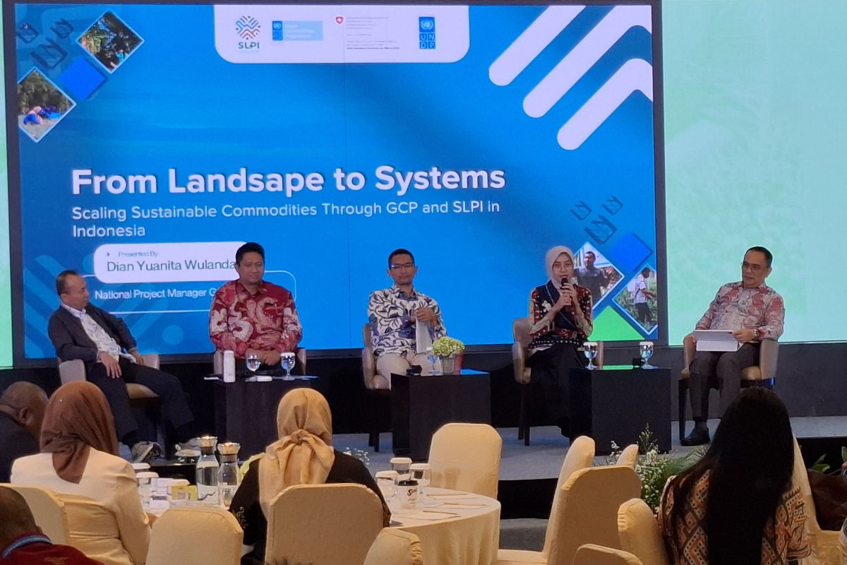 UNDP: Continued RAN-KSB policy needs institutional strengthening