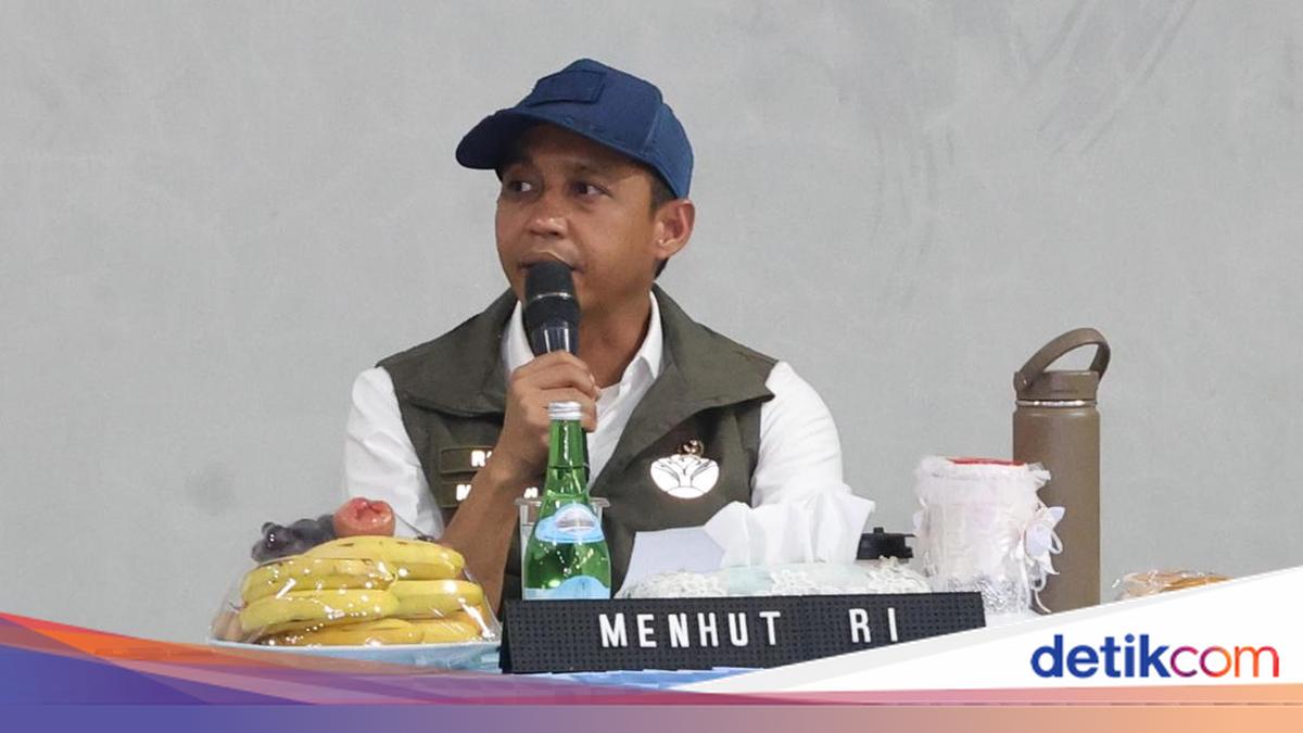 Forestry Minister Says Riau Forest Fire Handling Improving, Urges Officials Not to Be Complacent