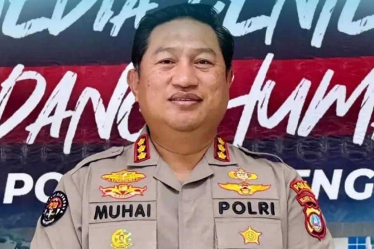 Central Sulawesi Police seize dozens of heavy equipment in Buol over suspected illegal gold mining