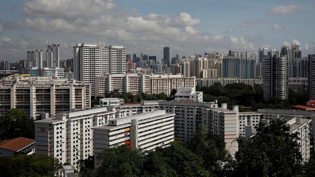 Singapore Faces Rare Public Protest Over Plan to Clear Forests for Housing