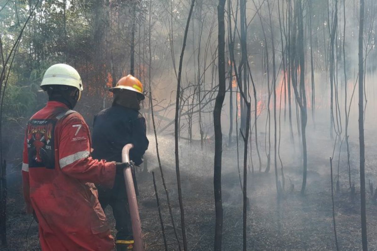 Can cassava flour really extinguish fires? Here are the facts