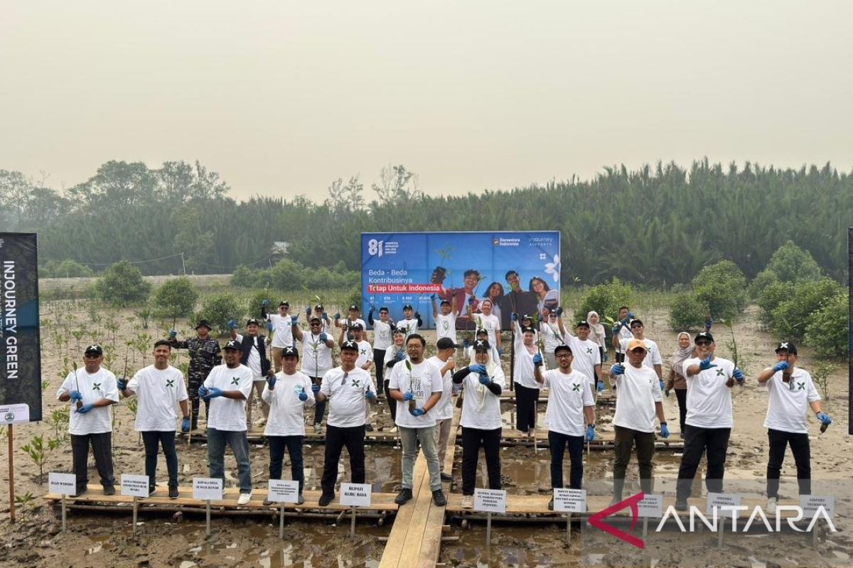Angkasa Pura plants 14,000 mangroves in Kubu Raya