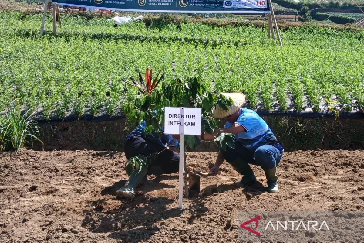 Economy: Purbaya pursues steel company taxes to Magelang coffee