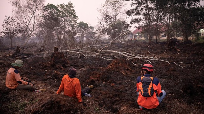 Forest Burning in the Perspective of Corporate Criminal Liability