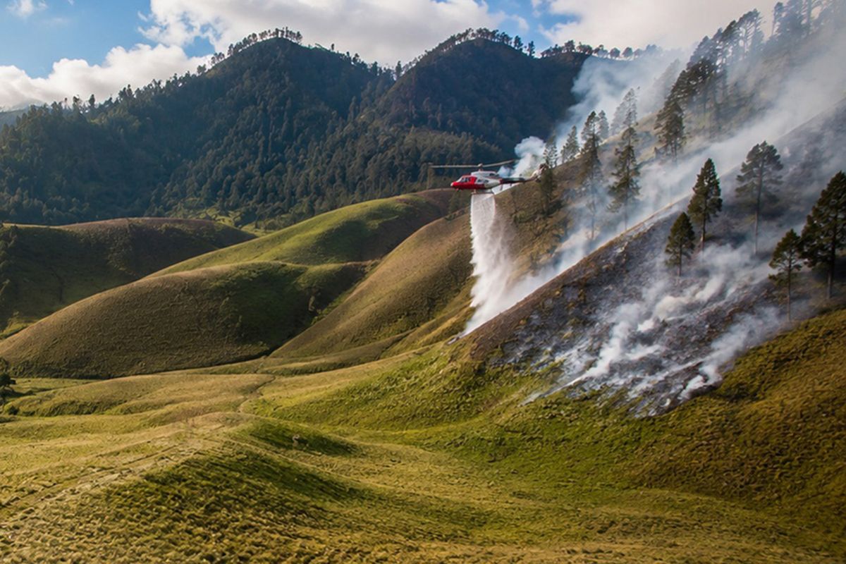 Crews battle forest and land fires on Mount Semeru across seven locations