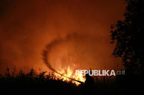 Fire on Peatlands: Unravelling the 'Fire Economy' and the Myth of a Single Cause of Forest and Land Fires