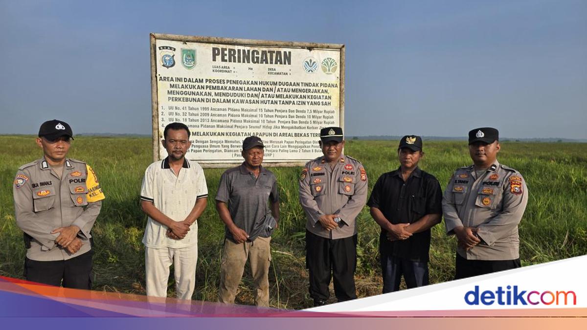Riau Police Tighten Monitoring of Former Burned Land to Prevent Replanting