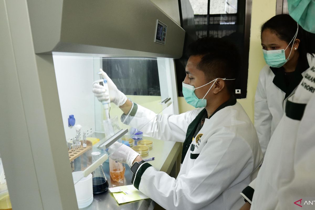 BKHIT Maluku strengthens laboratory staff competence to detect animal diseases