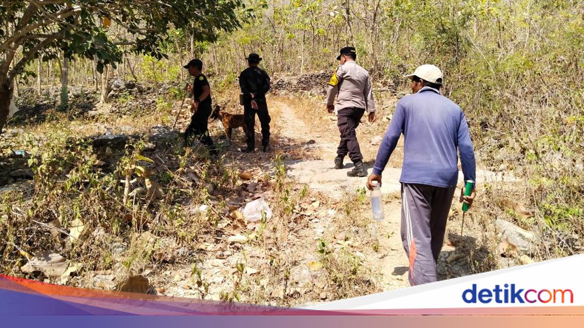 Missing for 3 Days, Search for Long-Haired Grandmother in Nusa Penida Expanded