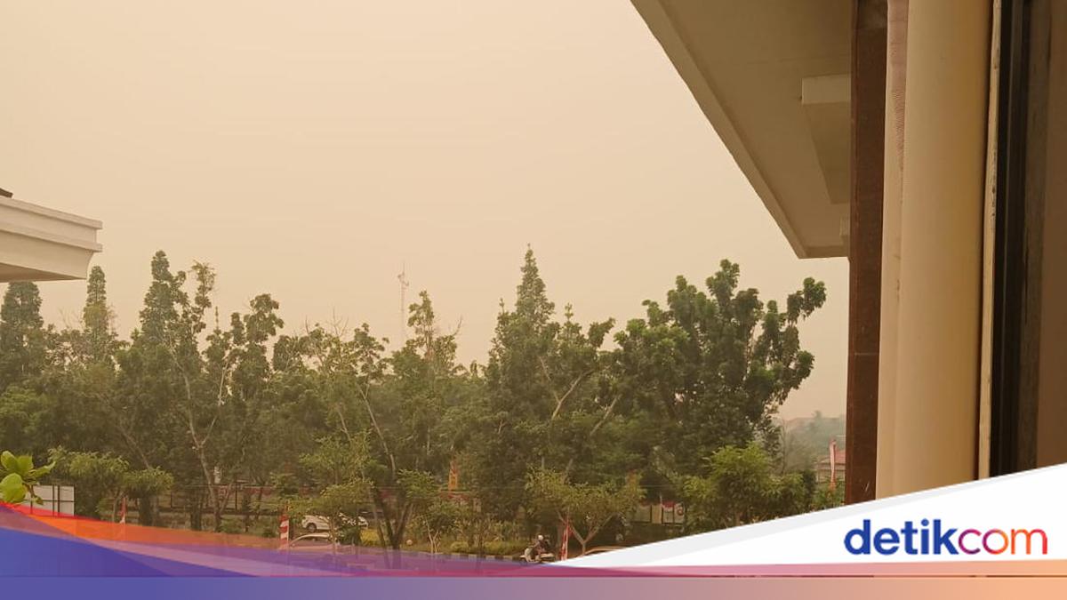 Forest Fire Haze Turns Pontianak Sky Yellowish-Brown, Says BMKG