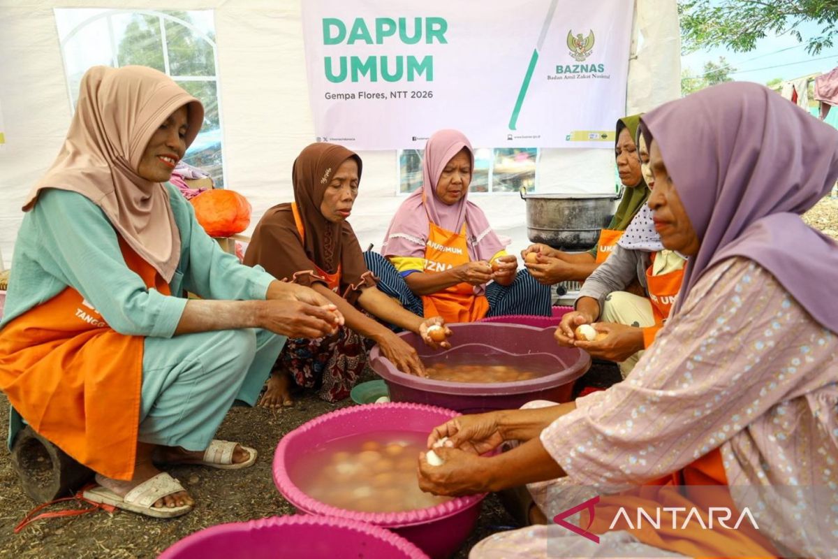Baznas establishes 16 humanitarian service posts to assist NTT earthquake survivors