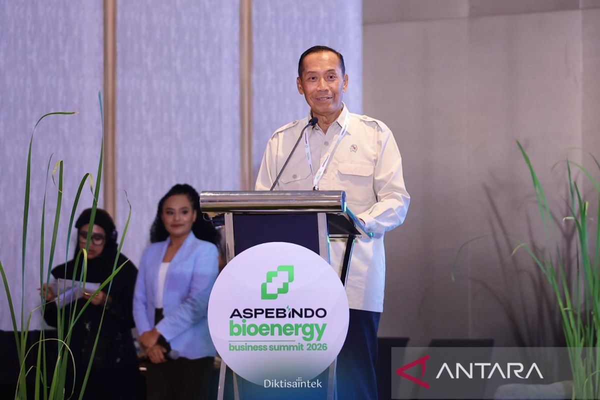 Deputy Minister asks bioenergy to be developed for public benefit
