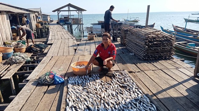 Through This Programme, BRI Helps Sorong Dried Fish Entrepreneurs Move Up a Class