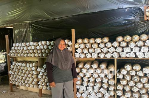 Unwilling to Waste Mushrooms, Astuti Builds a Business and Leads a Waste Bank