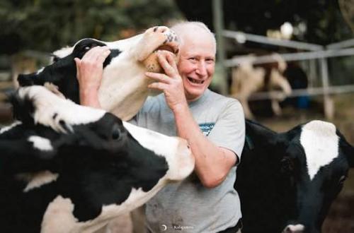 Dago Dairy Cattle Farm Announces Closure, Struggles to Find Workers