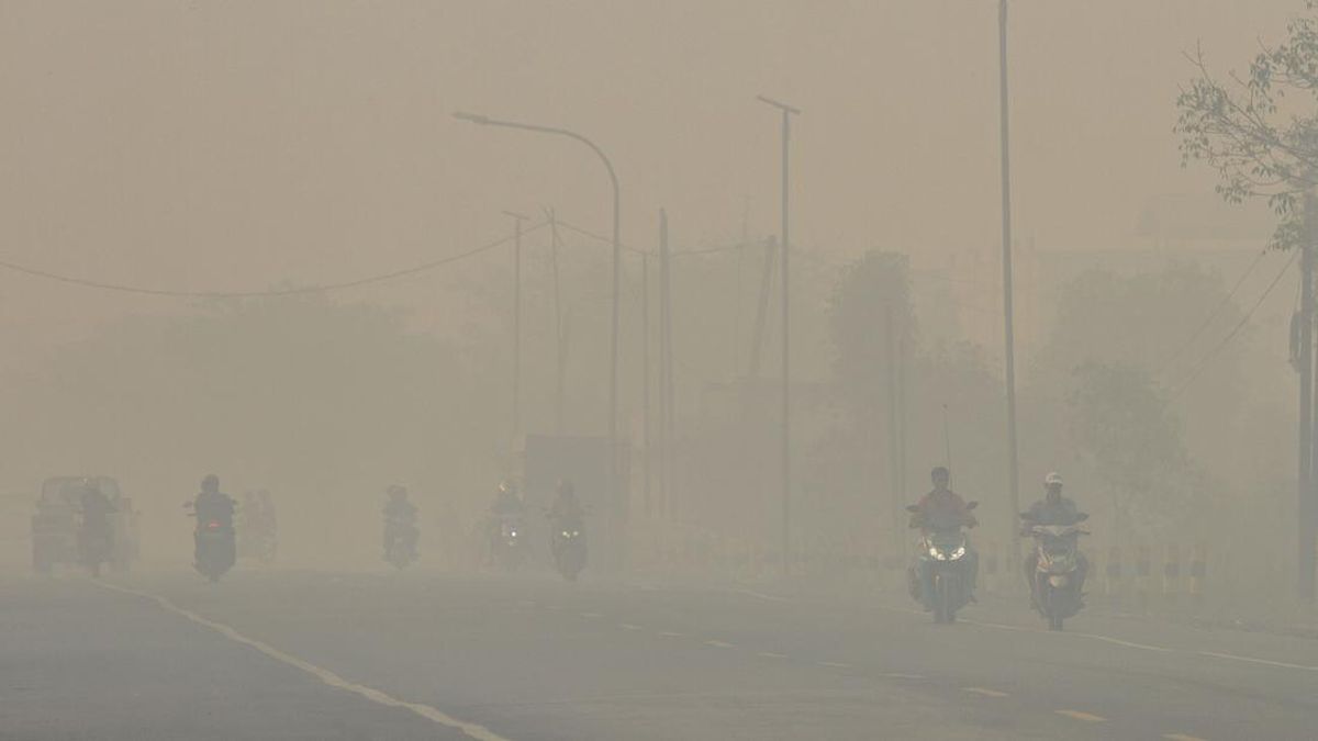 Banjar Regency Government to Implement Distance Learning to Protect Students from Haze