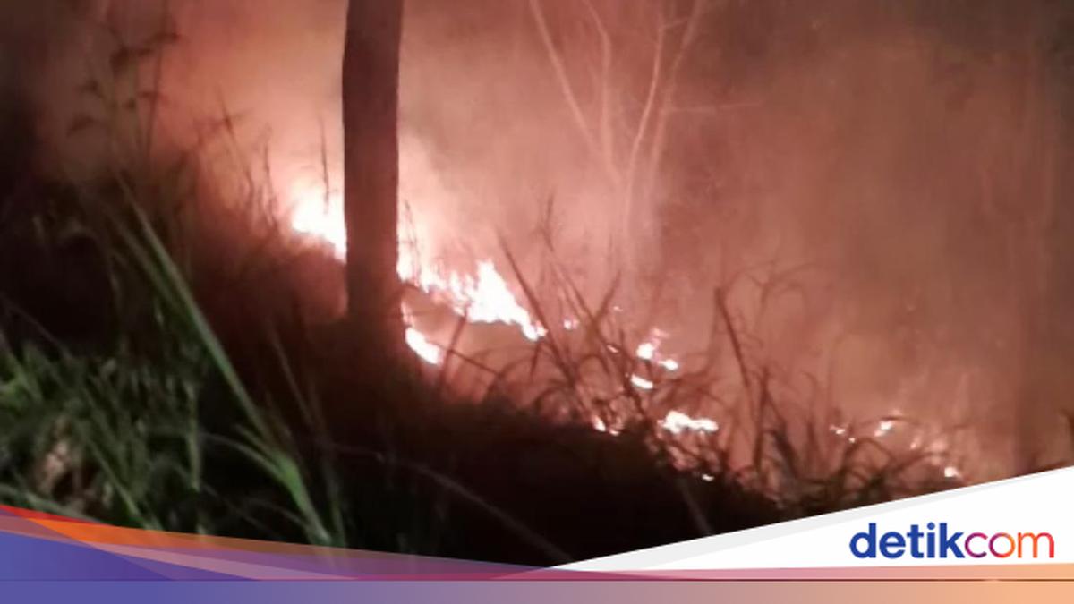 Bukit Senggigi in West Lombok Catches Fire, 1 Hectare of Land Scorched