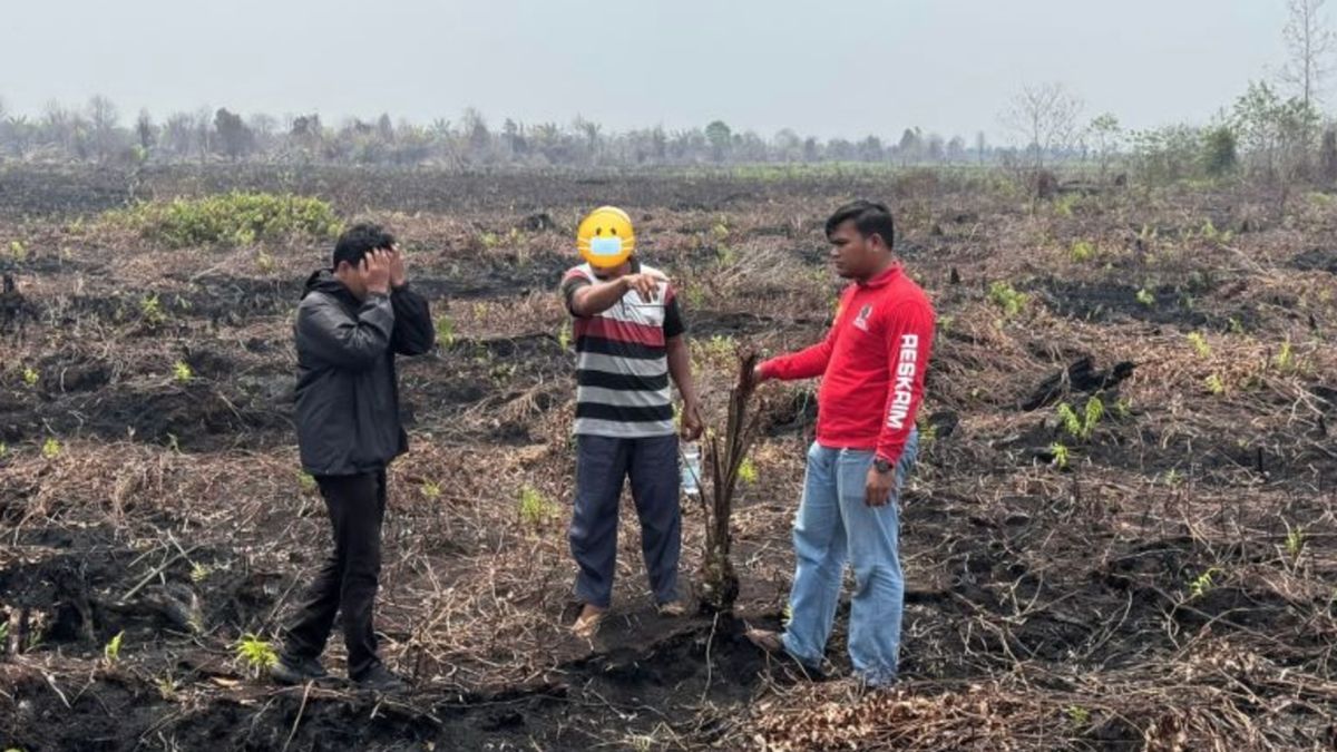 Revealed: Burnt Forest Land in Riau Intended to be Converted into Palm Oil Plantation