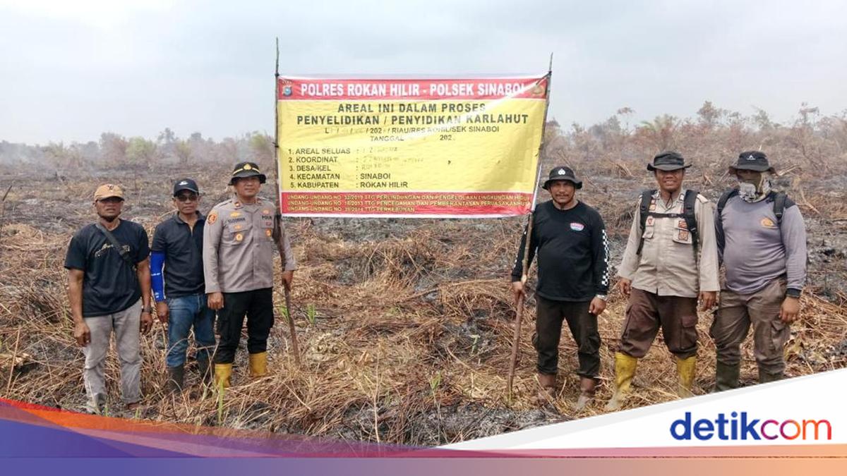 Cigarette Butt Triggers 30-Hectare Forest Fire, Man in Rohil Named Suspect