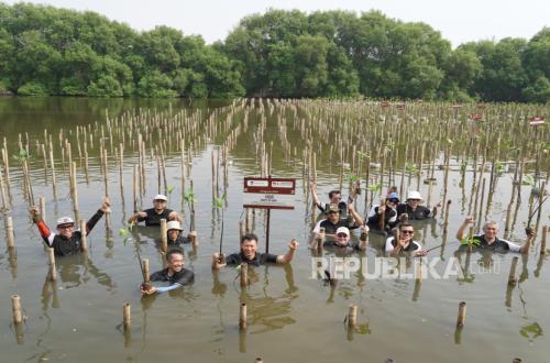 Menarini Indonesia to Plant 1,600 Mangroves Throughout 2026