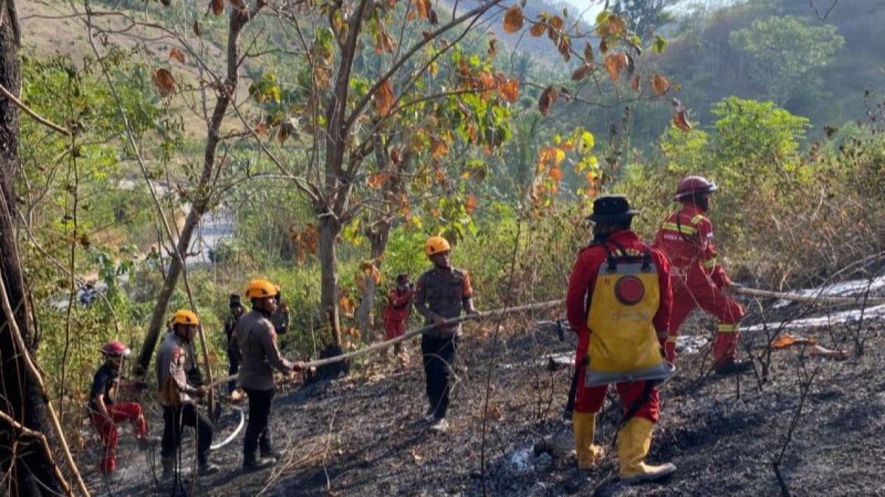 Forest Fires in Tojo Una-Una Successfully Controlled; Central Sulawesi Brimob Joins Firefighters and Residents