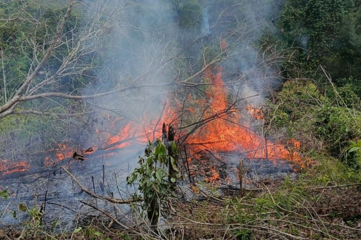 Japan dispatches Kunisaki vessel to assist in extinguishing forest fires in Indonesia
