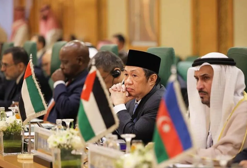 Deputy Foreign Minister Anis Matta Urges OIC to Take Concrete Action Against Israel