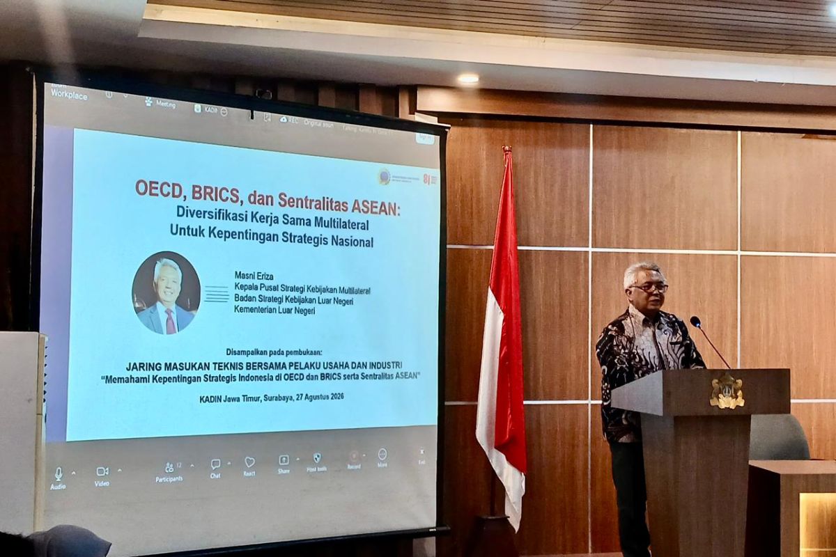 Ministry calls for leveraging OECD, BRICS to boost competitiveness