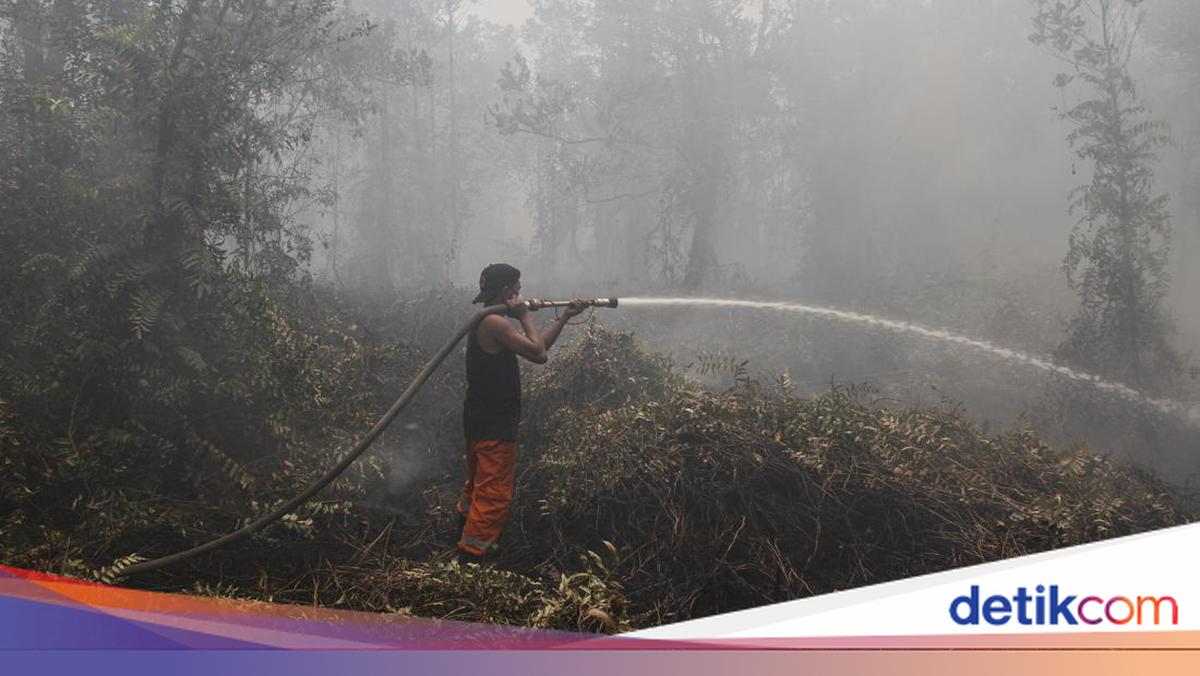 Forest Fire Hotspots in Central Kalimantan Increase by 876, Visibility Drops to 1km