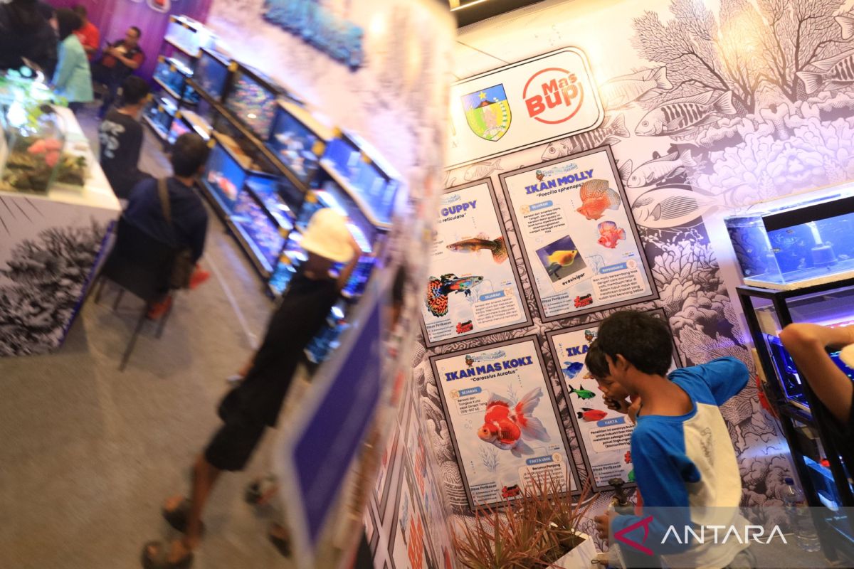 GREAT Institute projects Indonesian economic growth at 5.3-5.6 per cent
