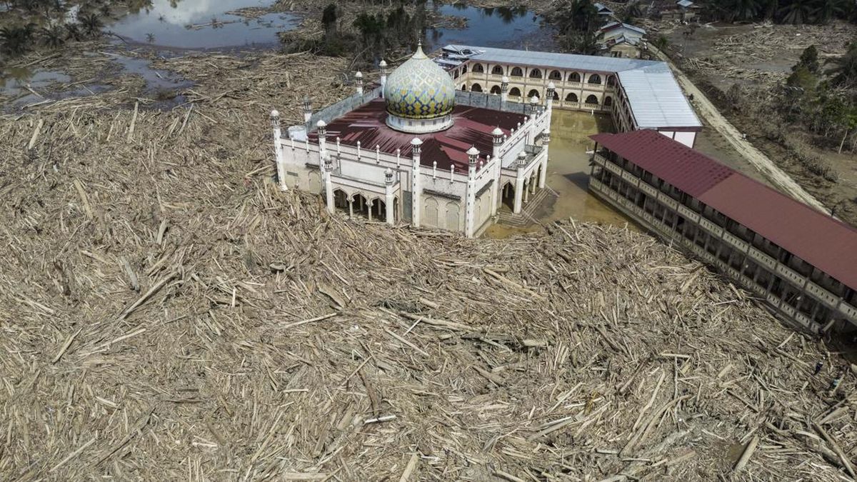 BNPB Responds to Constitutional Court Ruling on National Disaster Status Indicators