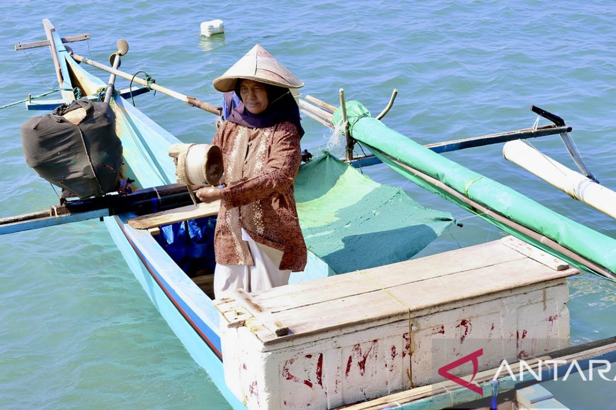 The lives of Bajo female fishers amidst the climate crisis