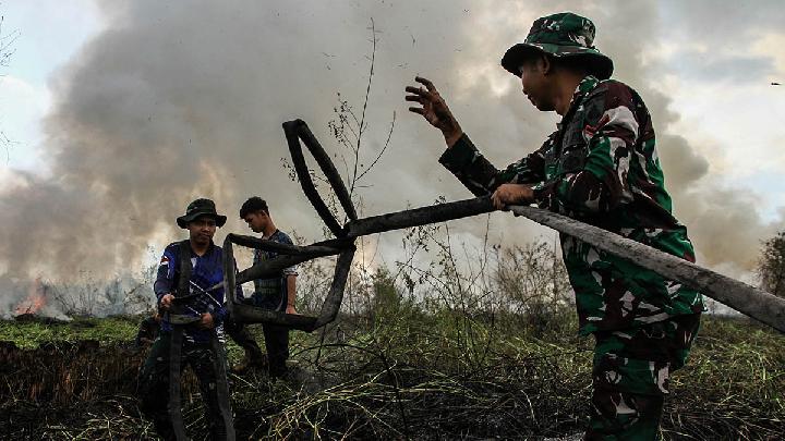 Kalimantan Fires: Indonesian Military Leads Ecosystem Restoration