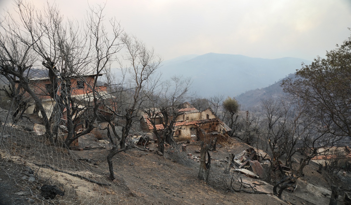 Algerian President Orders Death Penalty for Forest Arsonists