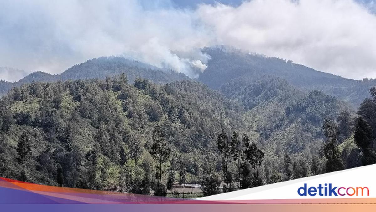 Mount Semeru Closed Completely Due to Forest Fires, Thousands of Climbers Unable to Ascend