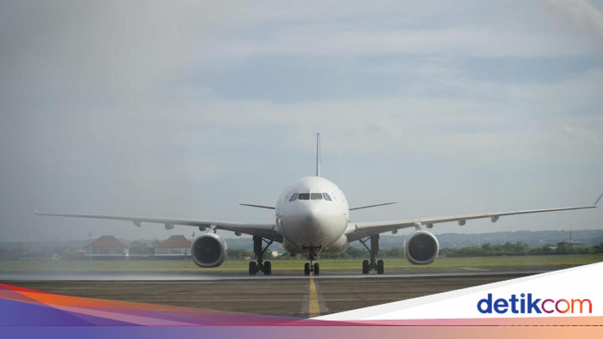 Four Flights Cancelled in Palangka Raya Due to Forest Fire Smoke