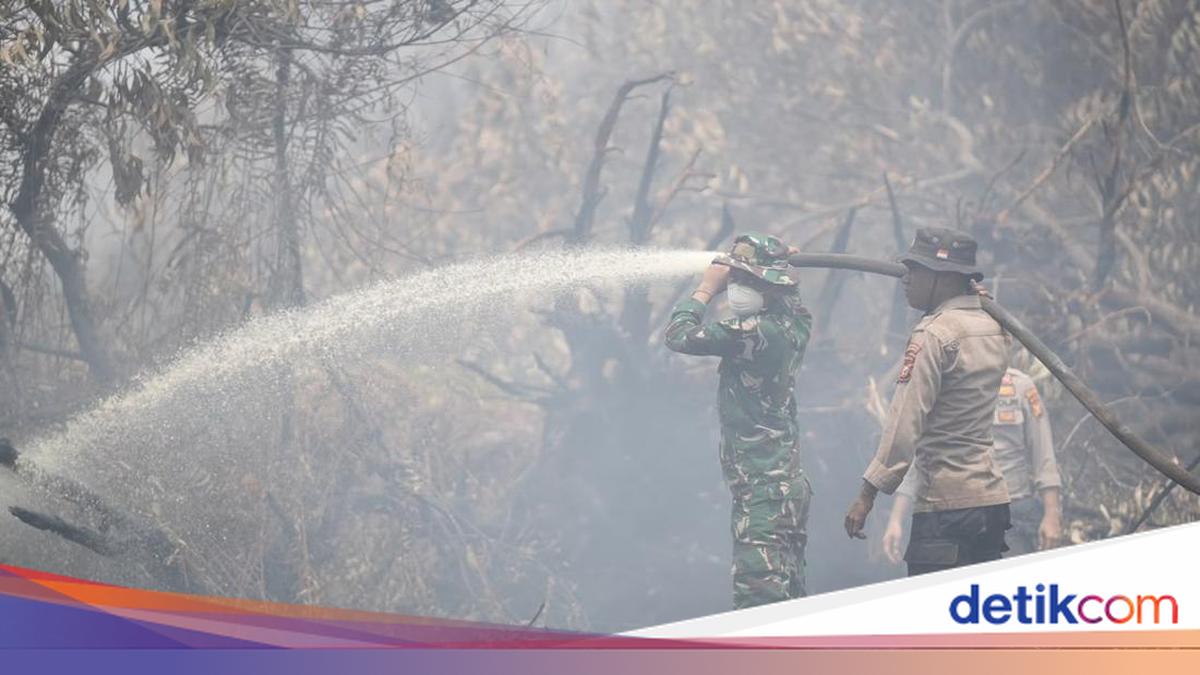 Riau Police Chief Conducts Aerial Patrol to Ensure Pelalawan Forest Fires Fully Handled