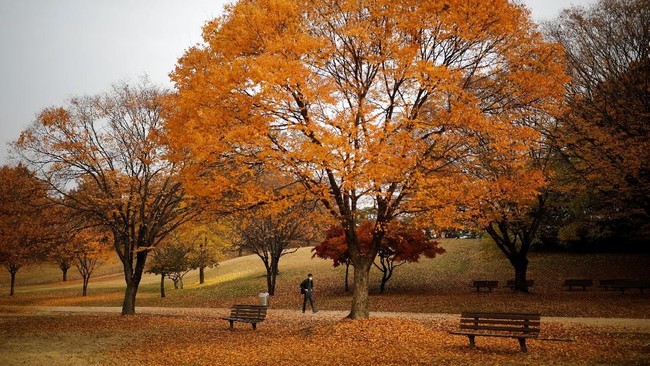 Autumn Holidays More Comfortable with BRI Infinite Credit Card