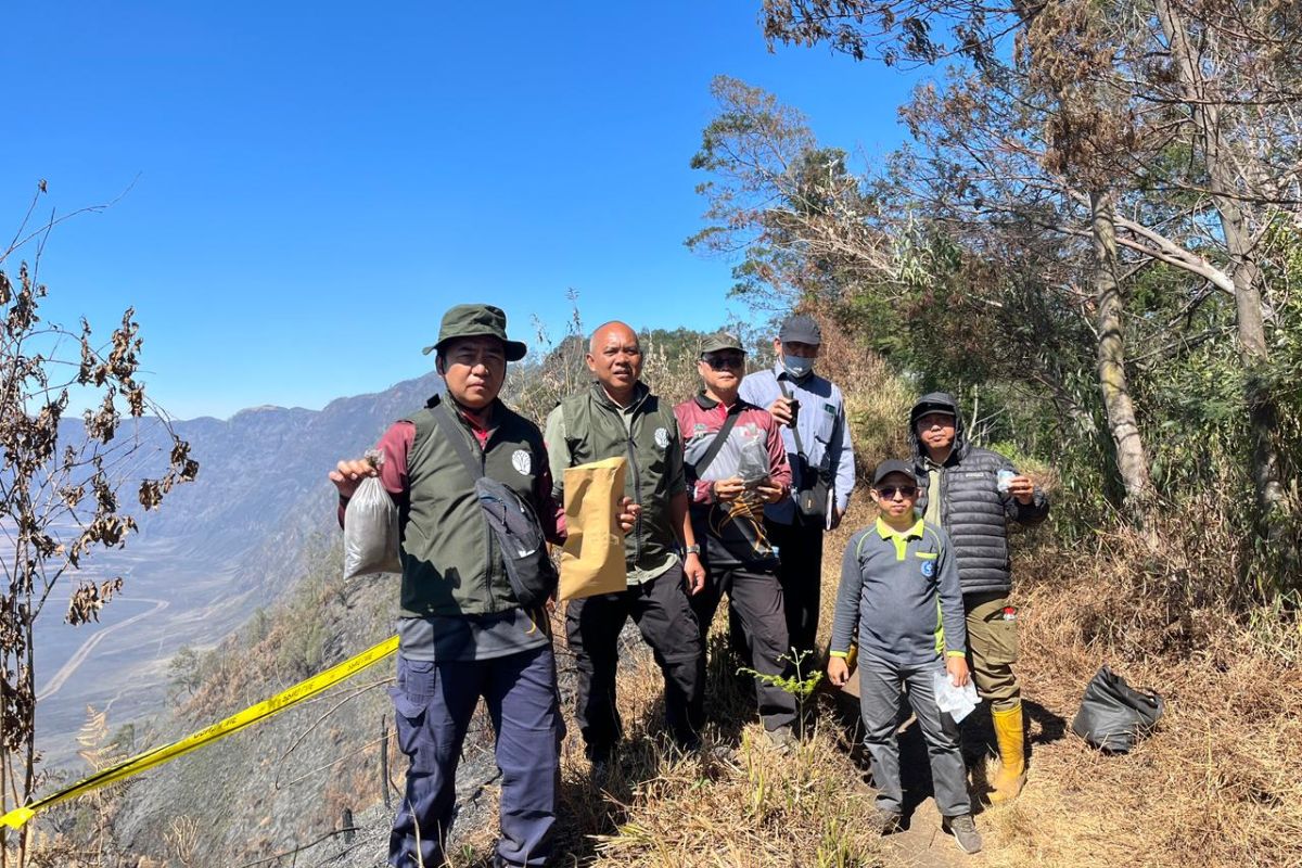 Govt probes alleged criminal acts in Mount Bromo national park fires