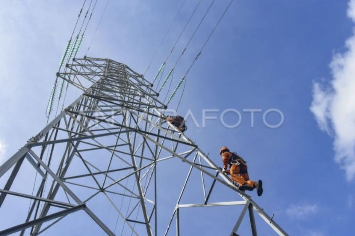 PLN and Kotim Land Office accelerate certification of 18 electricity asset plots
