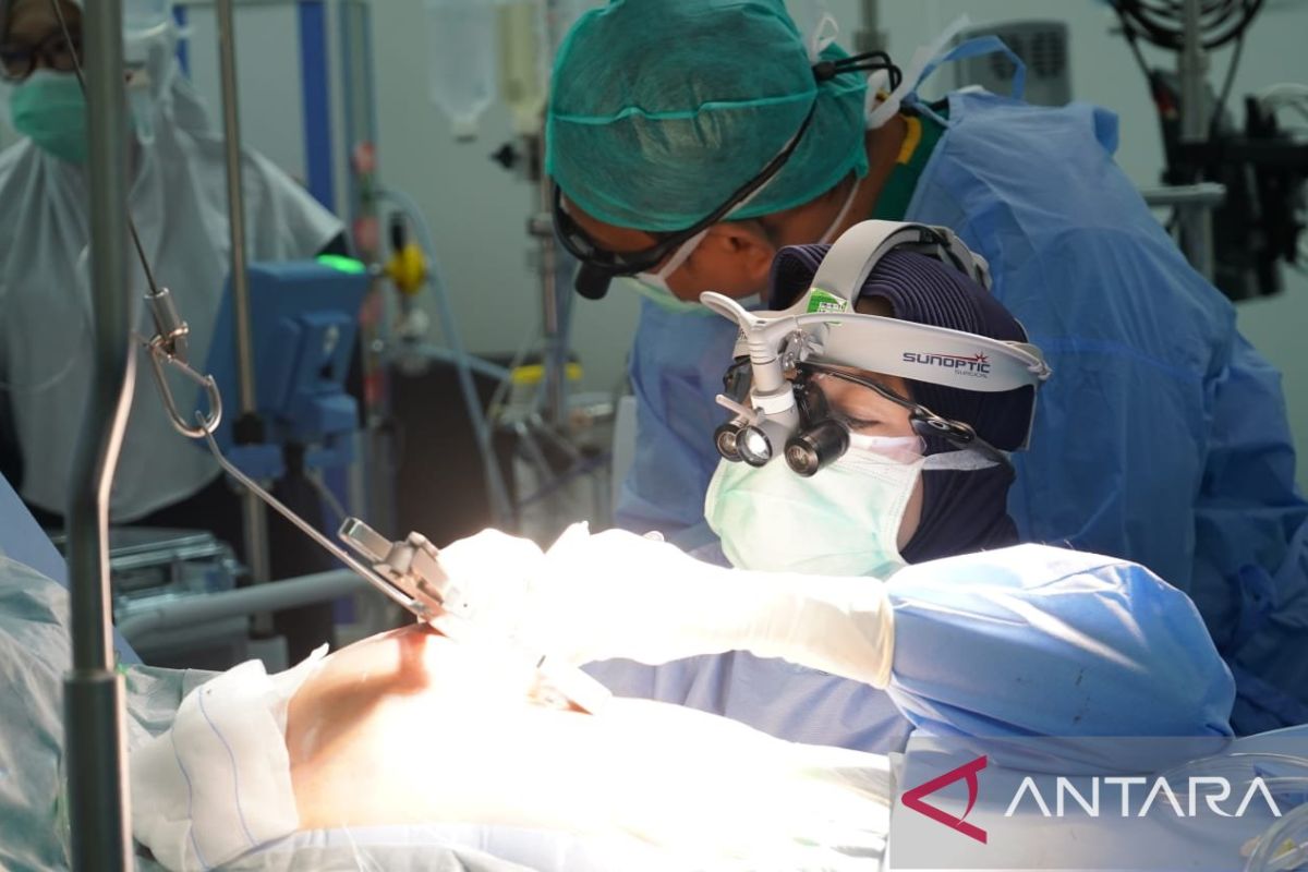 Expert: Minimally invasive CABG does not reduce cardiac revascularisation targets