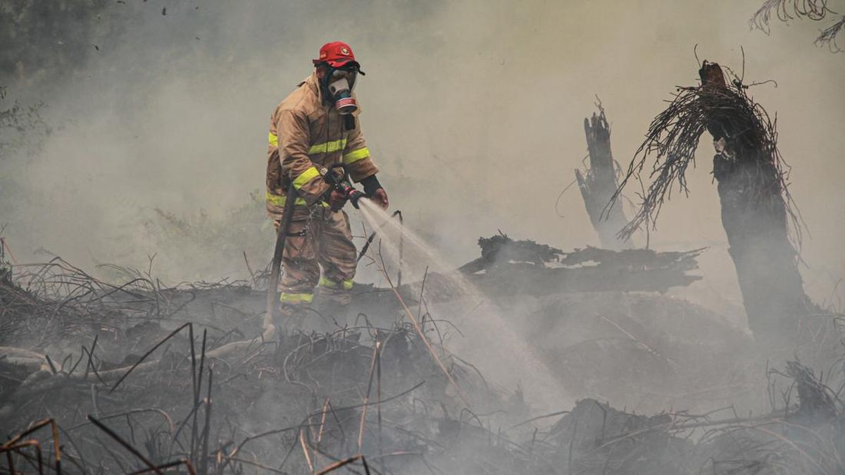 Forest and Land Fire Volunteer in Central Kalimantan Dies After Being Treated for Breathing Difficulties